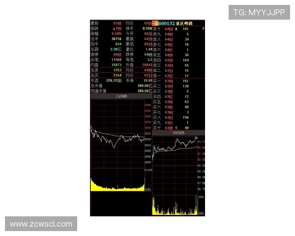 第二局数据对比安凉暃全面压制暖阳猪八戒的赛场博弈战术解读分析