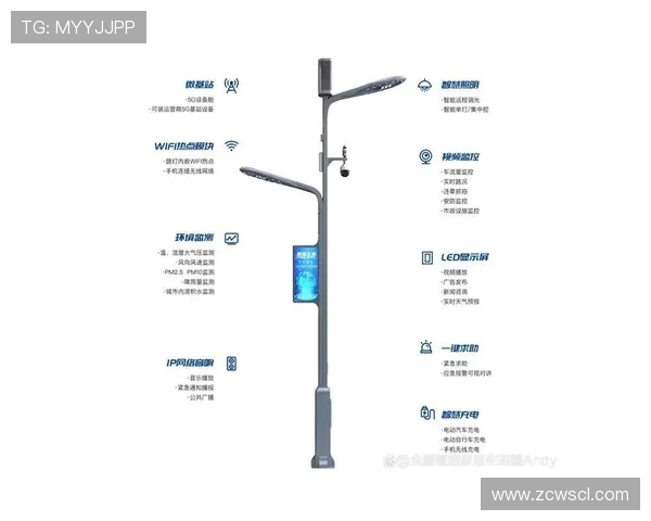 体育场馆智慧路灯的集成化管理云平台赛